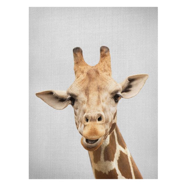 Telas decorativas animais Giraffe Gundel