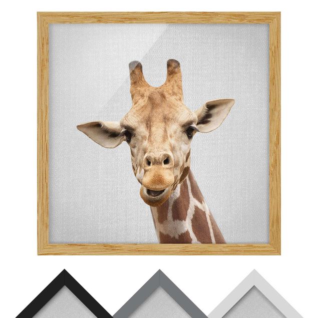 Quadros preto e branco Giraffe Gundel