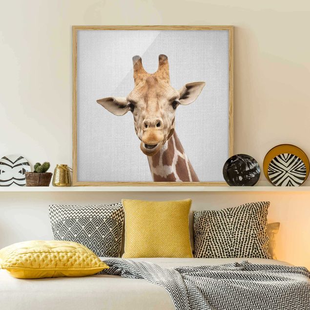 Quadros girafas Giraffe Gundel