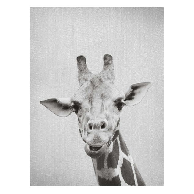 Telas decorativas animais Giraffe Gundel Black And White