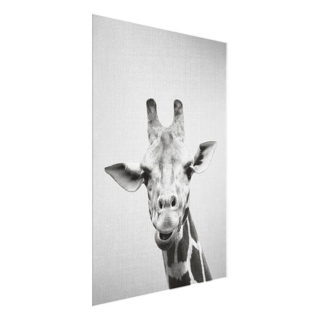 Quadros em vidro animais Giraffe Gundel Black And White