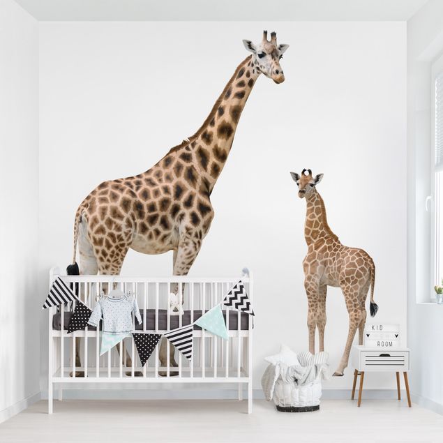 Papel de parede girafas Giraffe Mother And Child