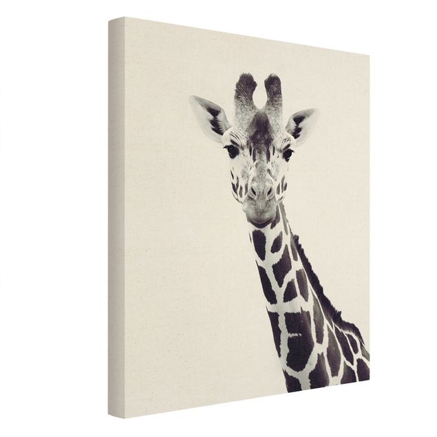 quadro animais quarto bebé Giraffe Portrait In Black And White