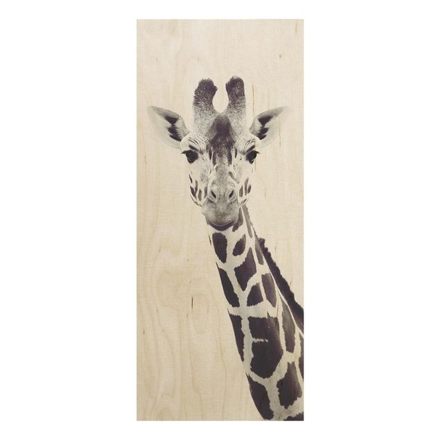 Quadros decorativos Giraffe Portrait In Black And White