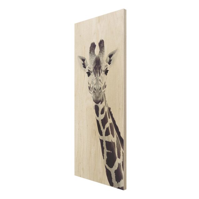 Quadros em madeira Giraffe Portrait In Black And White