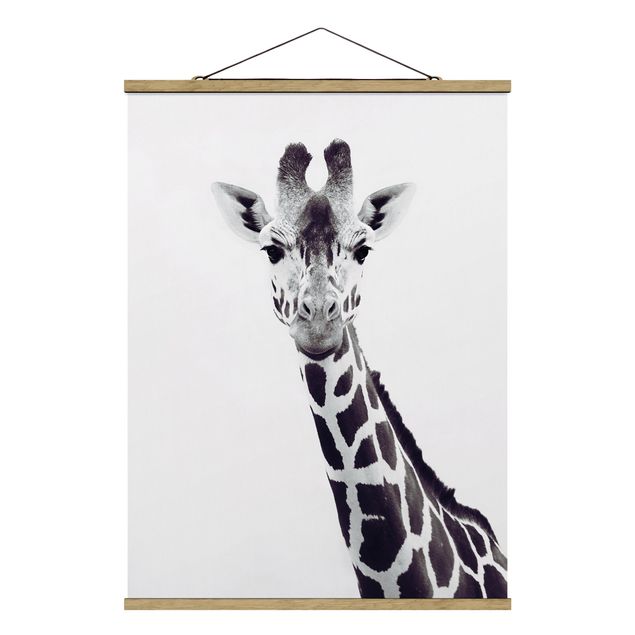 quadro animal Giraffe Portrait In Black And White