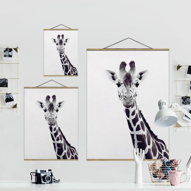 quadros para parede Giraffe Portrait In Black And White