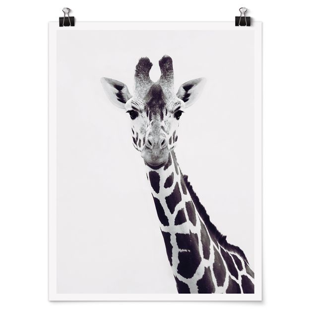 Posters animais Giraffe Portrait In Black And White