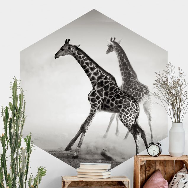 decoraçoes cozinha Giraffe Hunt