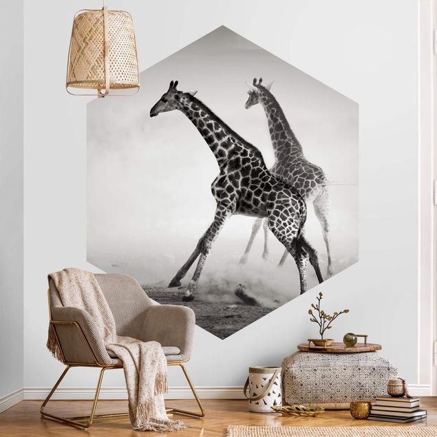 Papel de parede deserto Giraffe Hunt