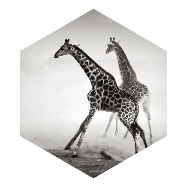 Papel de parede preto e branco Giraffe Hunt
