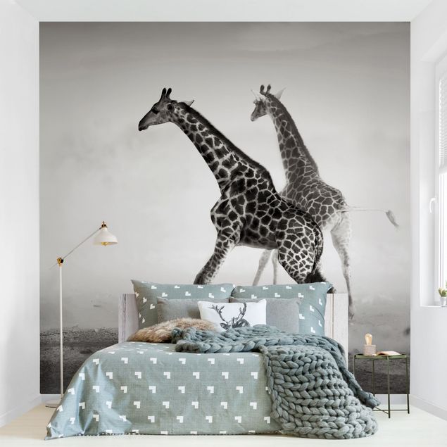Papel de parede girafas Giraffe Hunt