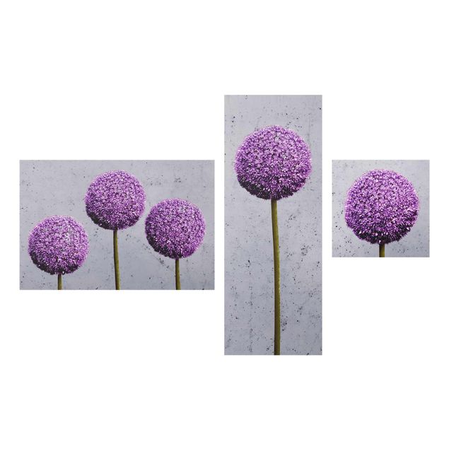 quadros flores Allium Round-Headed Flower