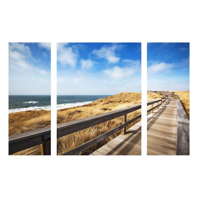 Quadros praia Path between dunes at the North Sea on Sylt
