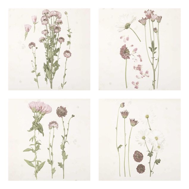 quadro com flores Herbarium In Pink Set I