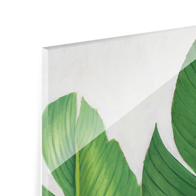 quadros para parede Favorite Plants Tropical Set I