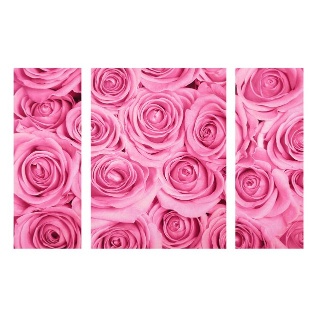 Quadros florais Pink Roses