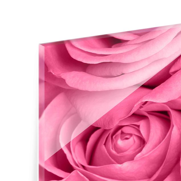 quadros para parede Pink Roses