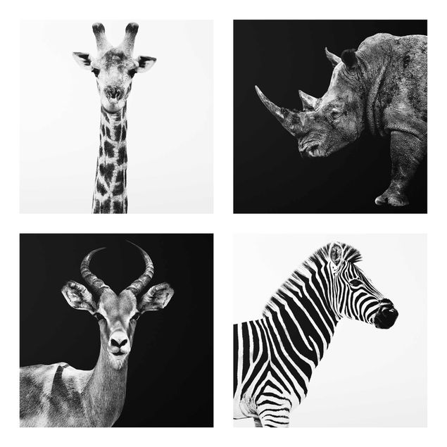 Quadros preto e branco Safari Quartet
