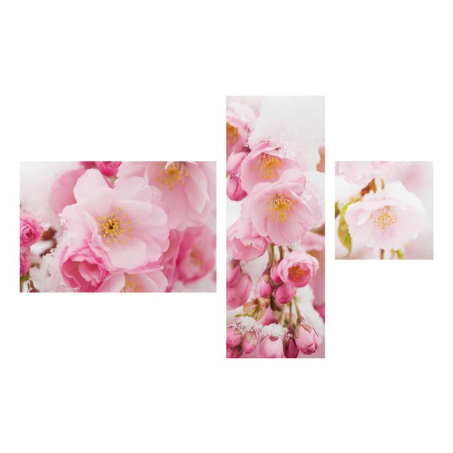 Quadros florais Snow-Covered Cherry Blossoms