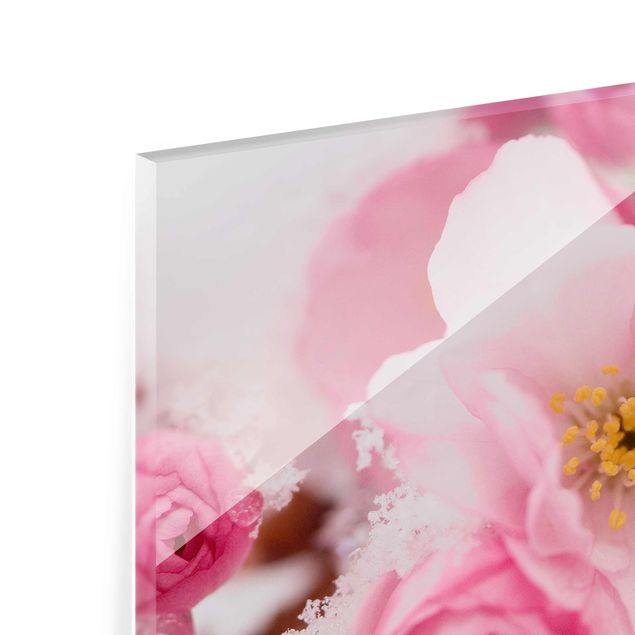 quadros para parede Snow-Covered Cherry Blossoms