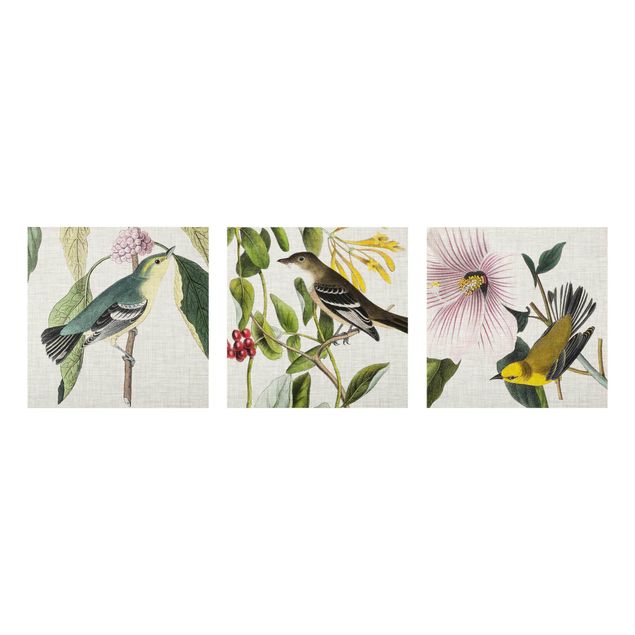 quadros de flores Birds On Linen Set I