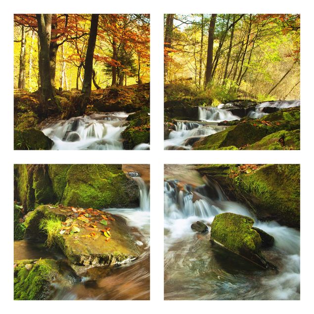 quadro com paisagens Waterfall Autumnal Forest