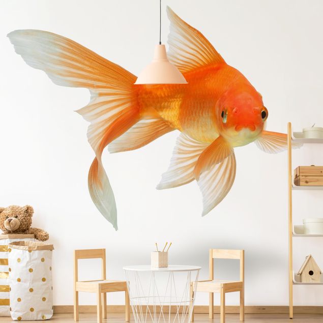 papel de parede moderno para sala Goldfish Is Watching You
