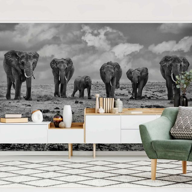Papel de parede elefantes Large Familiy
