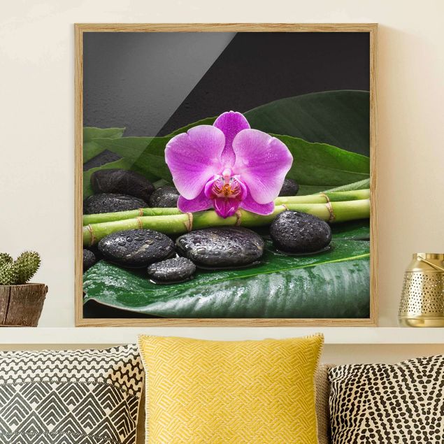 Quadros orquídeas Green bamboo With Orchid Flower