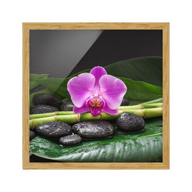 Quadros florais Green bamboo With Orchid Flower