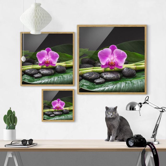 quadros de flores Green bamboo With Orchid Flower