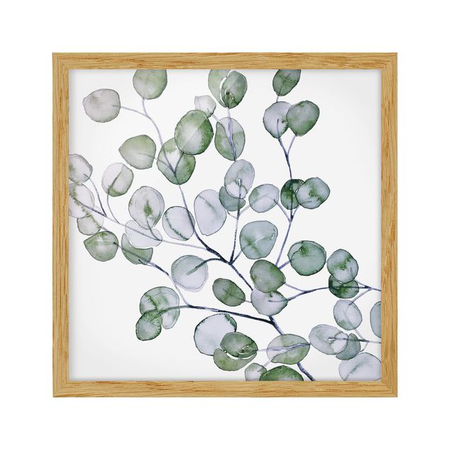 quadros de flores Green Watercolour Eucalyptus Branch