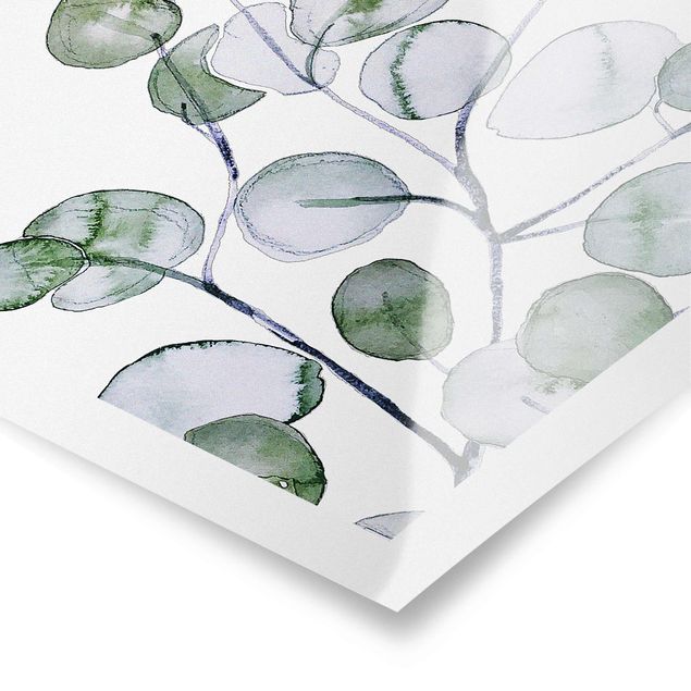 decoração quadros Green Watercolour Eucalyptus Branch