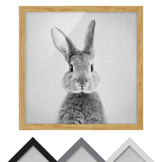 quadros para parede Hare Hilbert Black And White