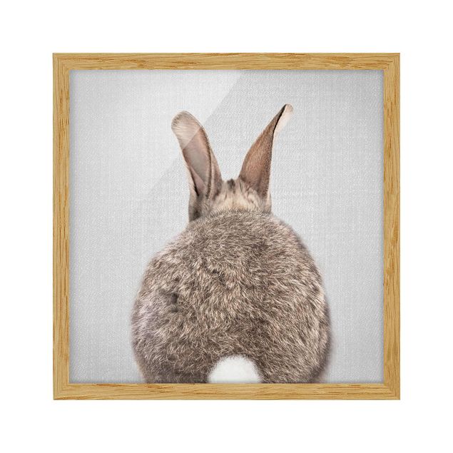 quadros decorativos para sala modernos Hare From Behind