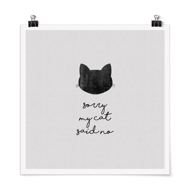 Posters animais Pet Quote Sorry My Cat Said No