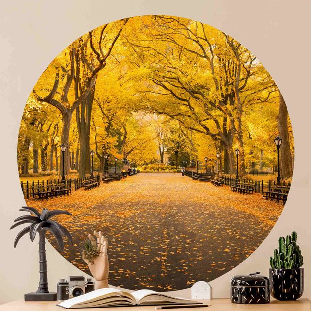 decoraçao para parede de cozinha Autumn In Central Park