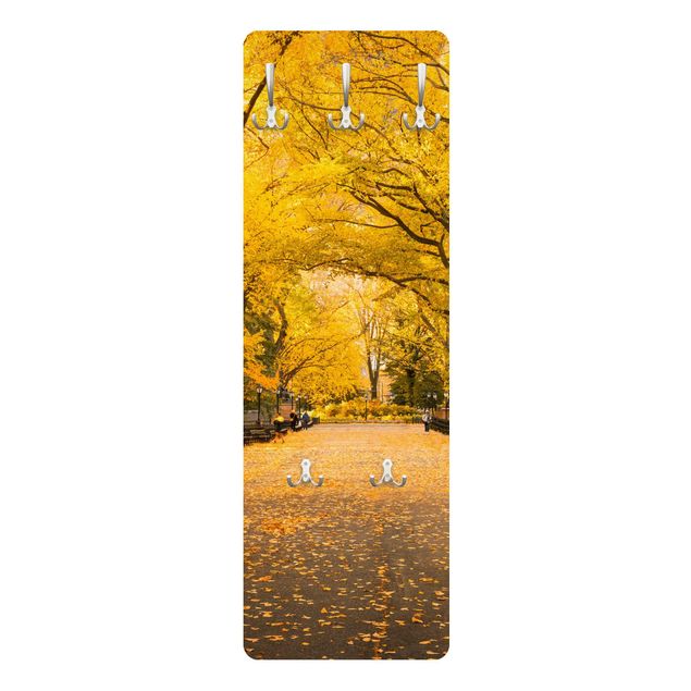 Cabides de parede Autumn In Central Park