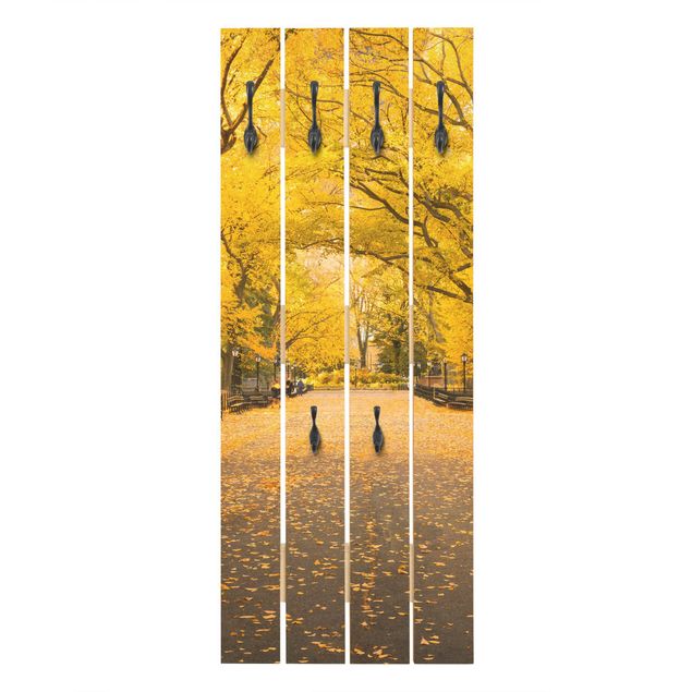 Bengaleiros de parede Autumn In Central Park