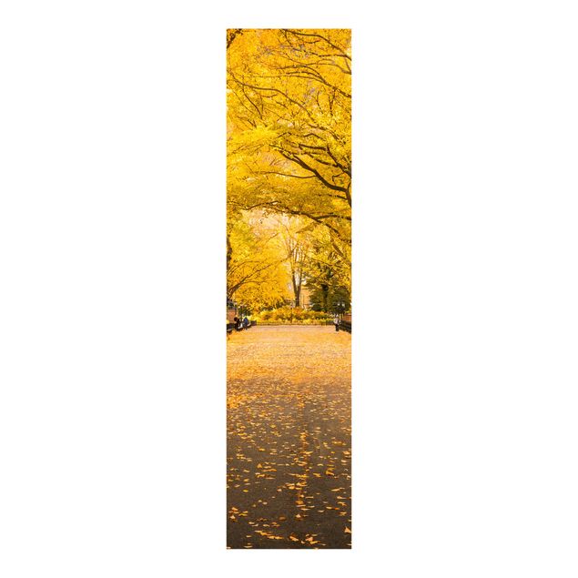 Painéis deslizantes cidades e paisagens urbanas Autumn In Central Park