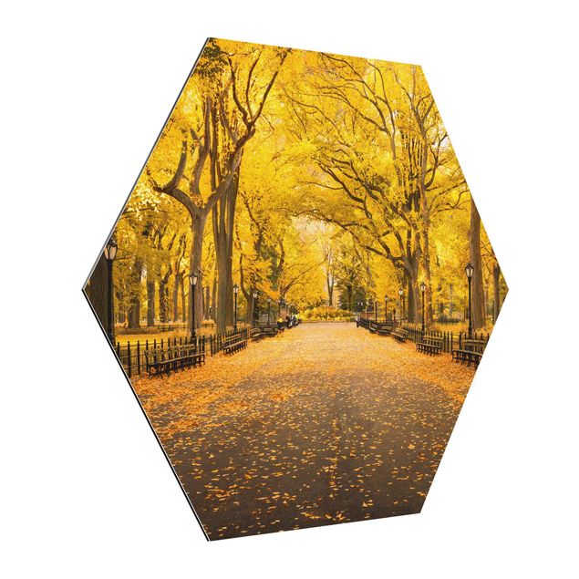 Quadros modernos Autumn In Central Park