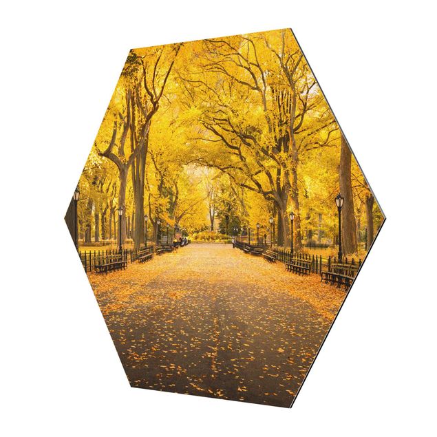 Quadros decorativos Autumn In Central Park