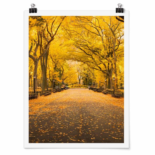 Quadros cidades Autumn In Central Park