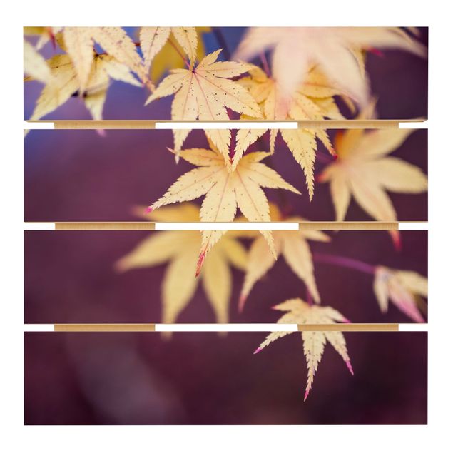 quadro de madeira para parede Autumn Maple Tree