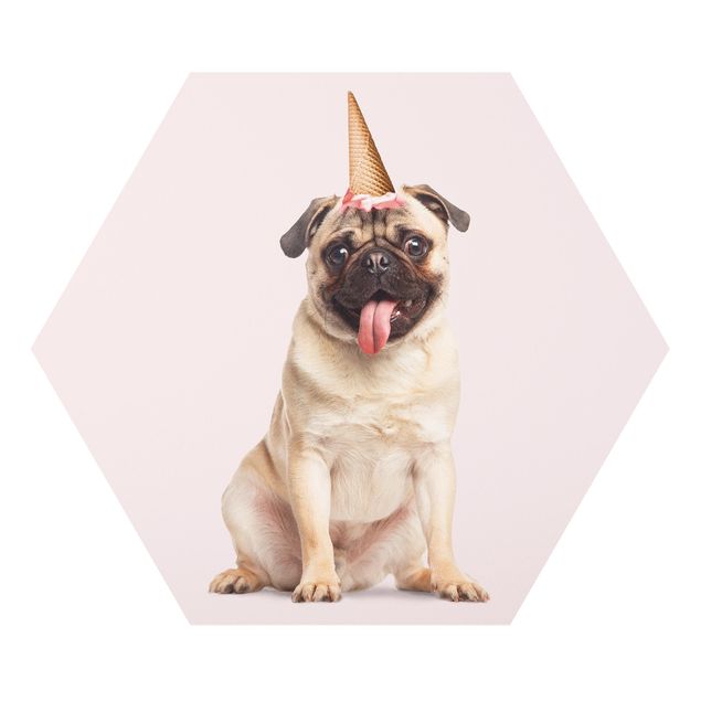 quadro animal Pug With Ice-Cream Cone