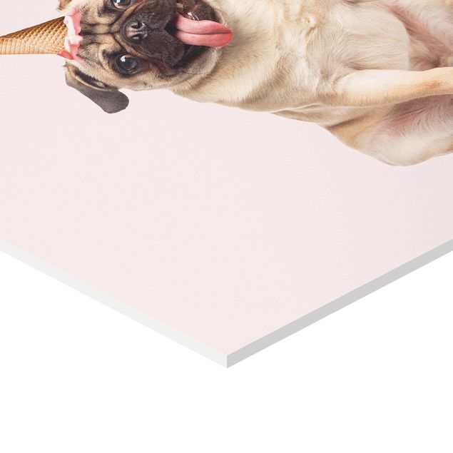 quadros para parede Pug With Ice-Cream Cone