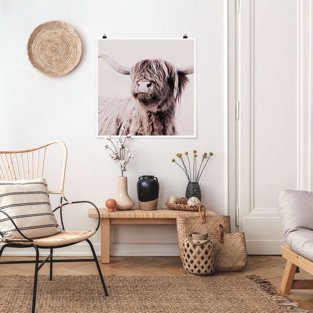 Posters animais Highland Cattle Frida In Beige