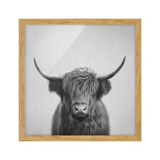 Quadros modernos Highland Cow Harry Black And White