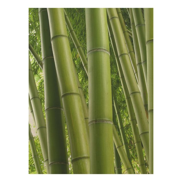 Quadros em madeira flores Bamboo Trees No.1